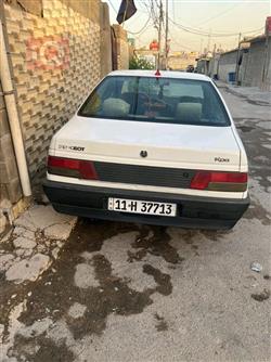 بيجو روا